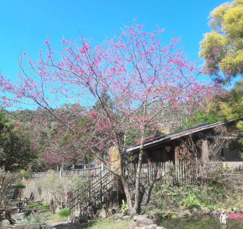 Bright Moon Homestay Dongshi  Экстерьер фото