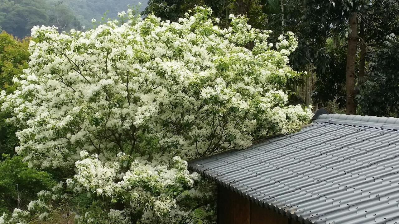 Bright Moon Homestay Dongshi  Экстерьер фото